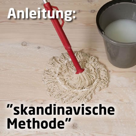 "Die Skandinavische Technik"